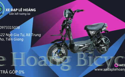 xe-dien-my-tho-dia-chi-uy-tin-tai-xe-dap-le-hoang